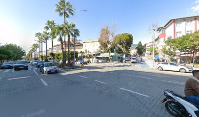 İncekum orman kampı Yerel İşletme fotoğrafı 1